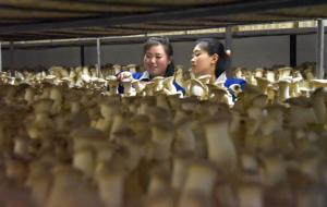 북한 여성 근로자는 국가 소유의  현대판 노예